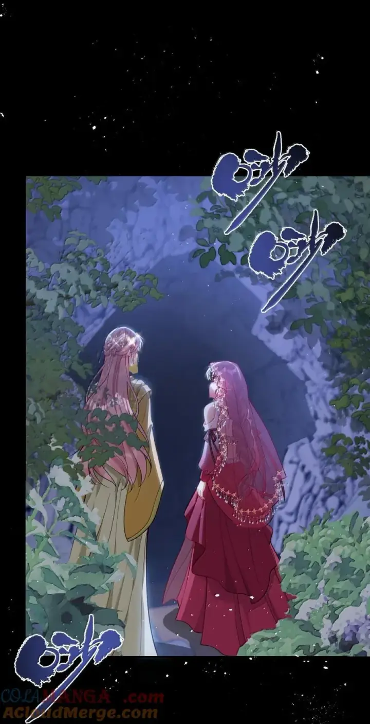 《娇养了个疯批美人儿》052 我要夺权图11
