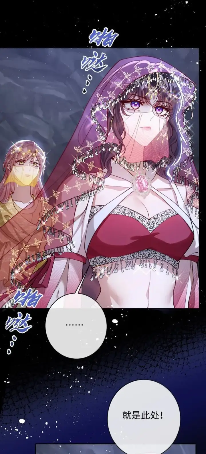 《娇养了个疯批美人儿》052 我要夺权图12