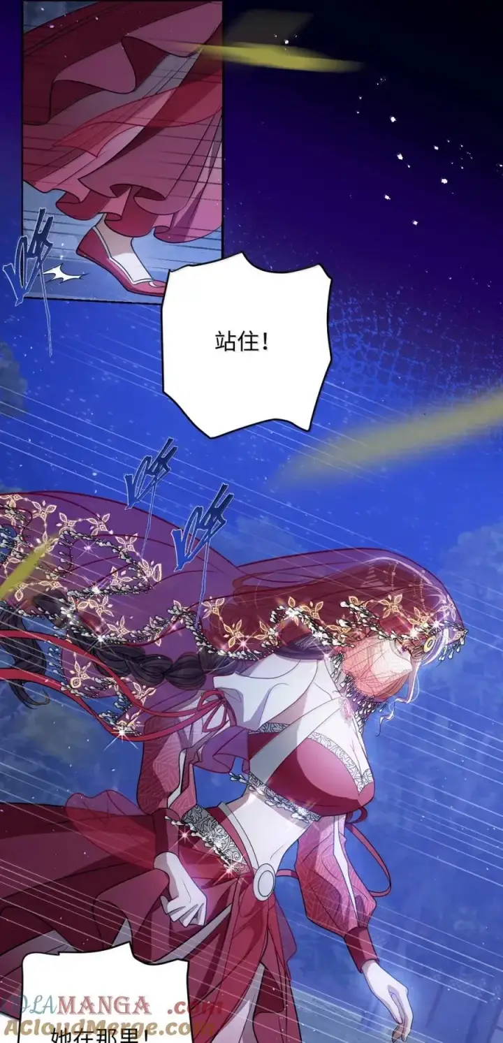 《娇养了个疯批美人儿》053 我心依旧图11