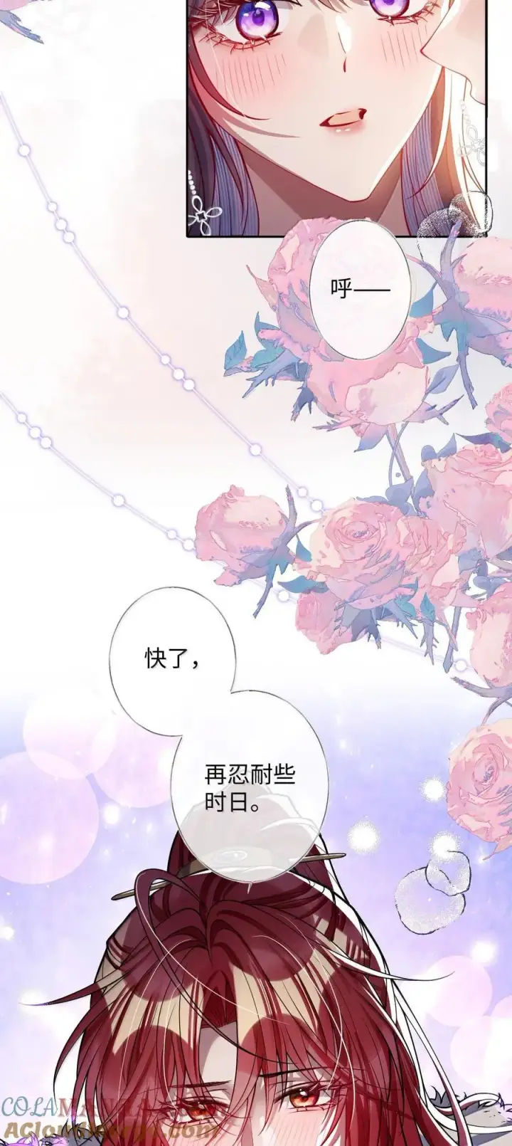 《娇养了个疯批美人儿》060 求你信我图5