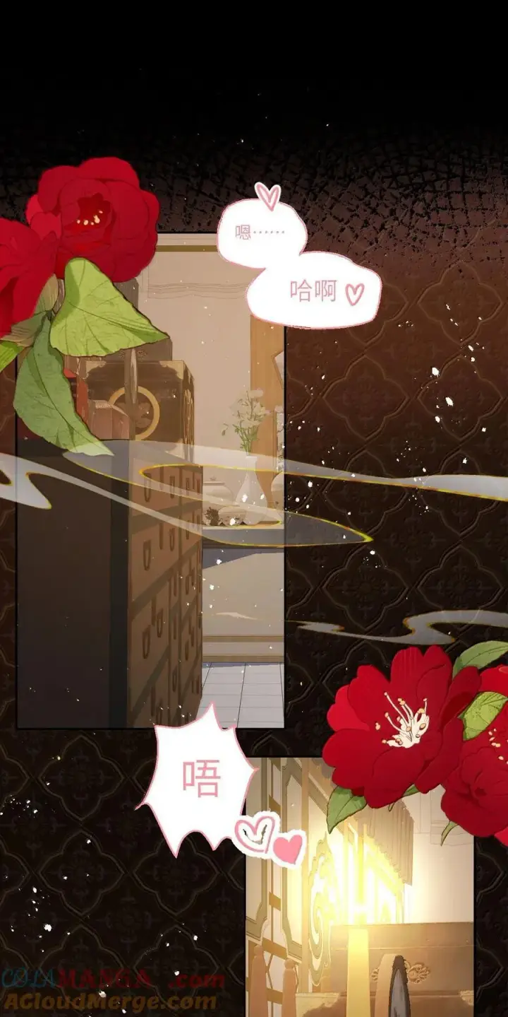 《娇养了个疯批美人儿》065 我知道你的心思图19