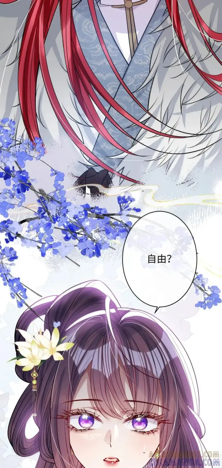 《娇养了个疯批美人儿》068 你自由了图11