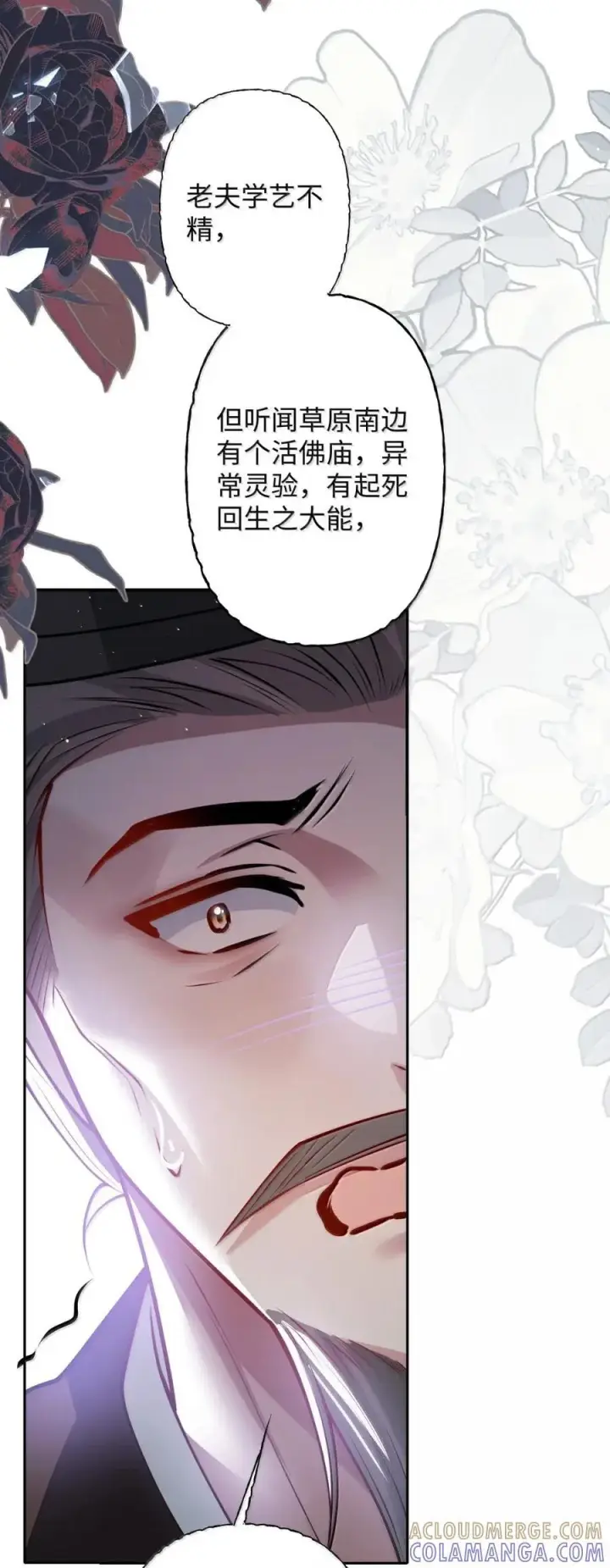 《娇养了个疯批美人儿》071 凶险图43