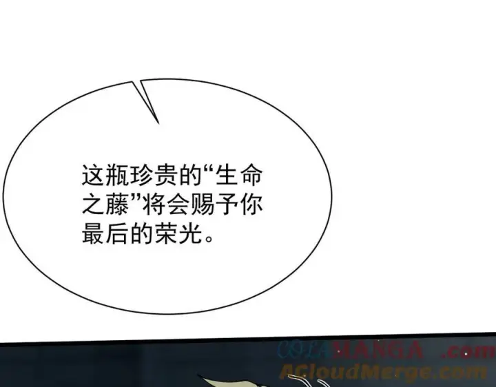漫画《家族影子的背叛》32 斗兽场第73张图