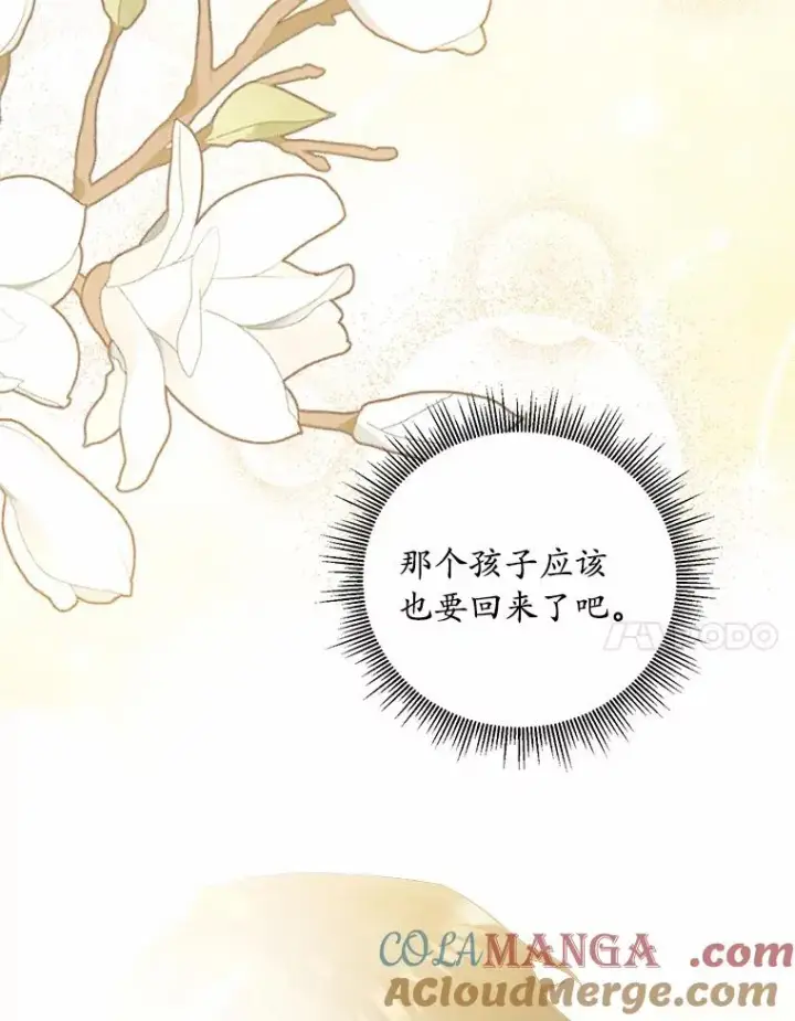 《解除婚约的代价》8.私下挑衅图73