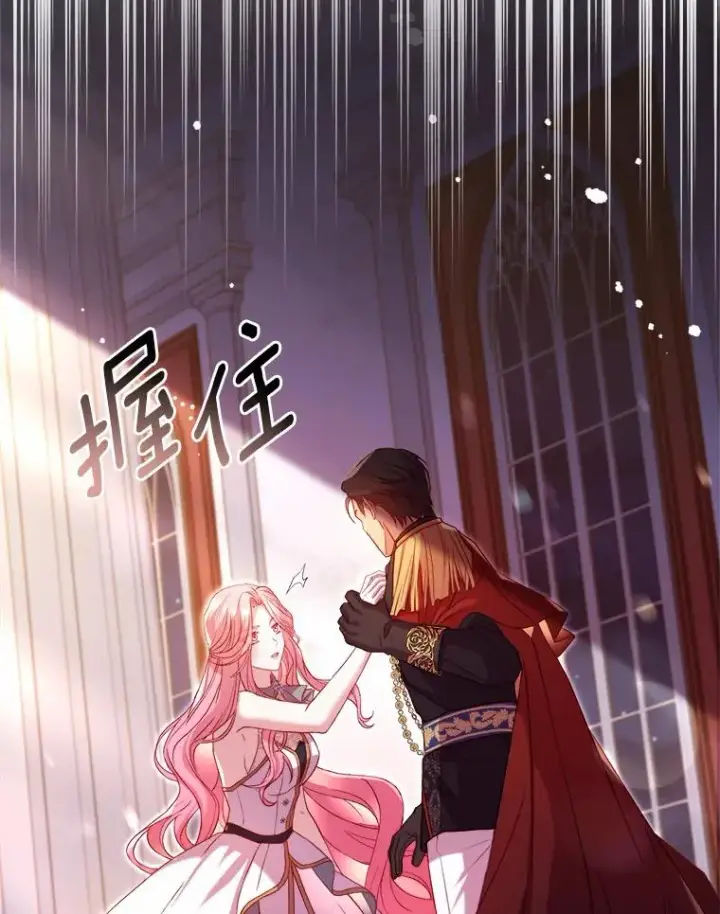 《解除婚约的代价》17.皇太子的心意图83