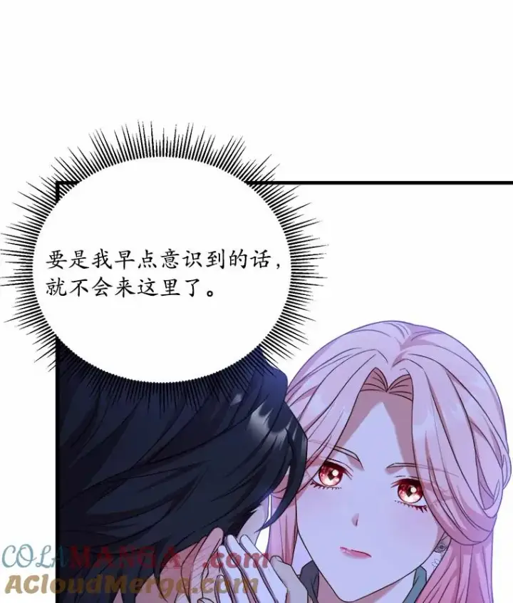 《解除婚约的代价》18.家族的宝贝图29