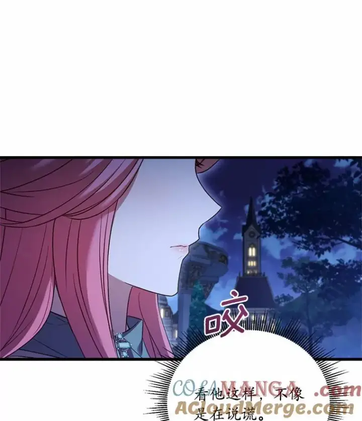 《解除婚约的代价》20.教皇登场图13