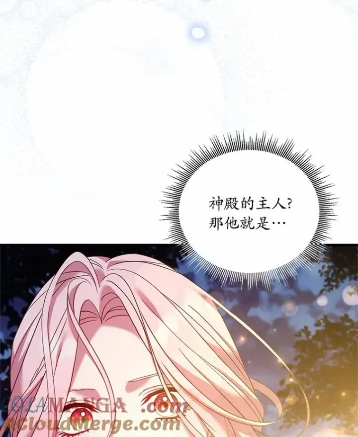 《解除婚约的代价》20.教皇登场图5