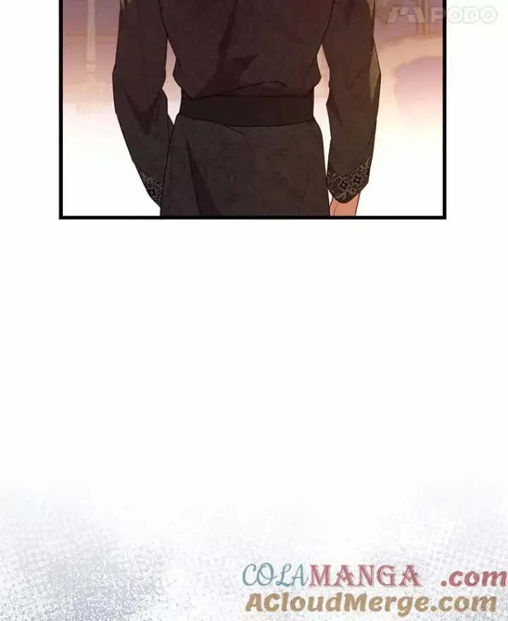 《解除婚约的代价》21.皇太子召见图113