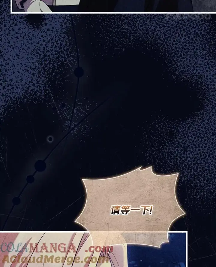 漫画《解除婚约的代价》41.西亚的反击第85张图