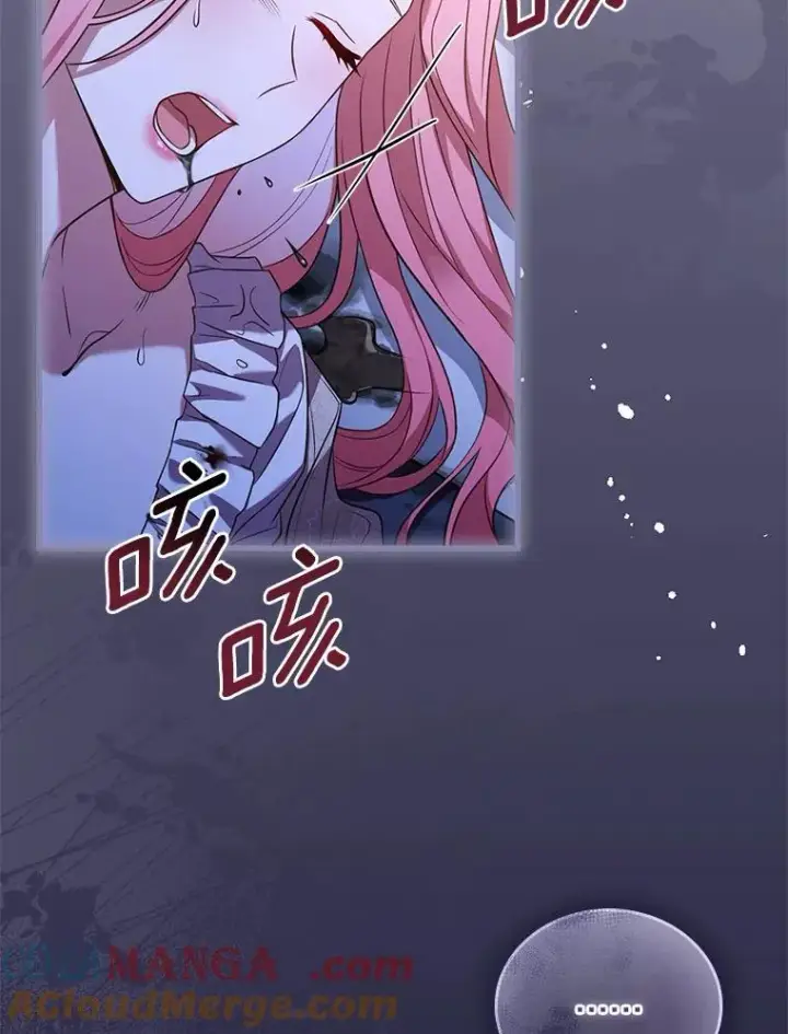 《解除婚约的代价》43.绝望的皇太子图97