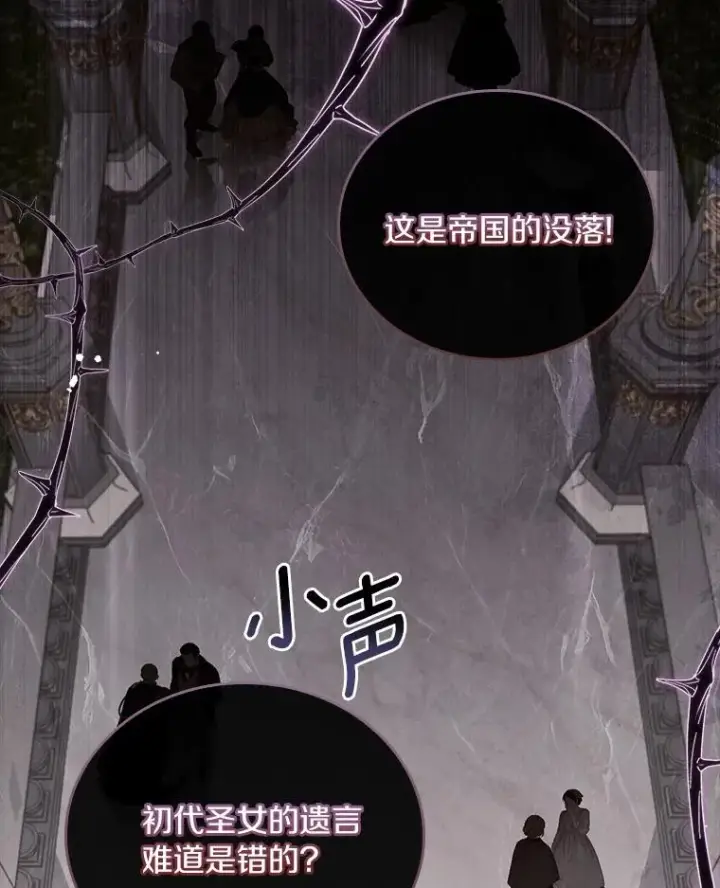 《解除婚约的代价》46.教皇的野心图16