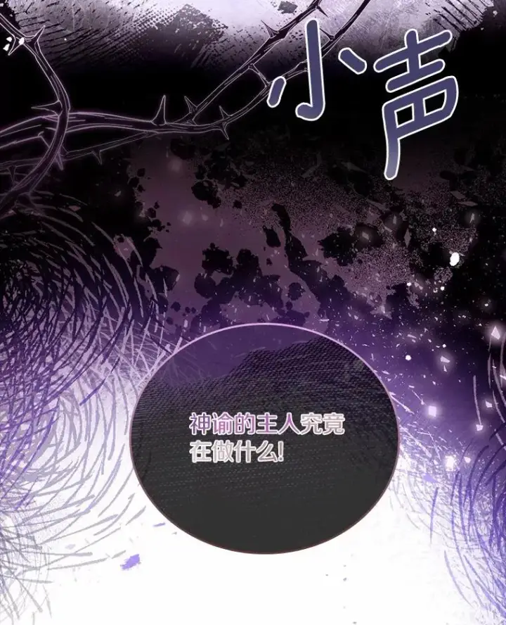 《解除婚约的代价》46.教皇的野心图18