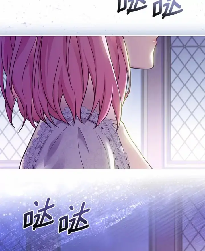 《解除婚约的代价》46.教皇的野心图50
