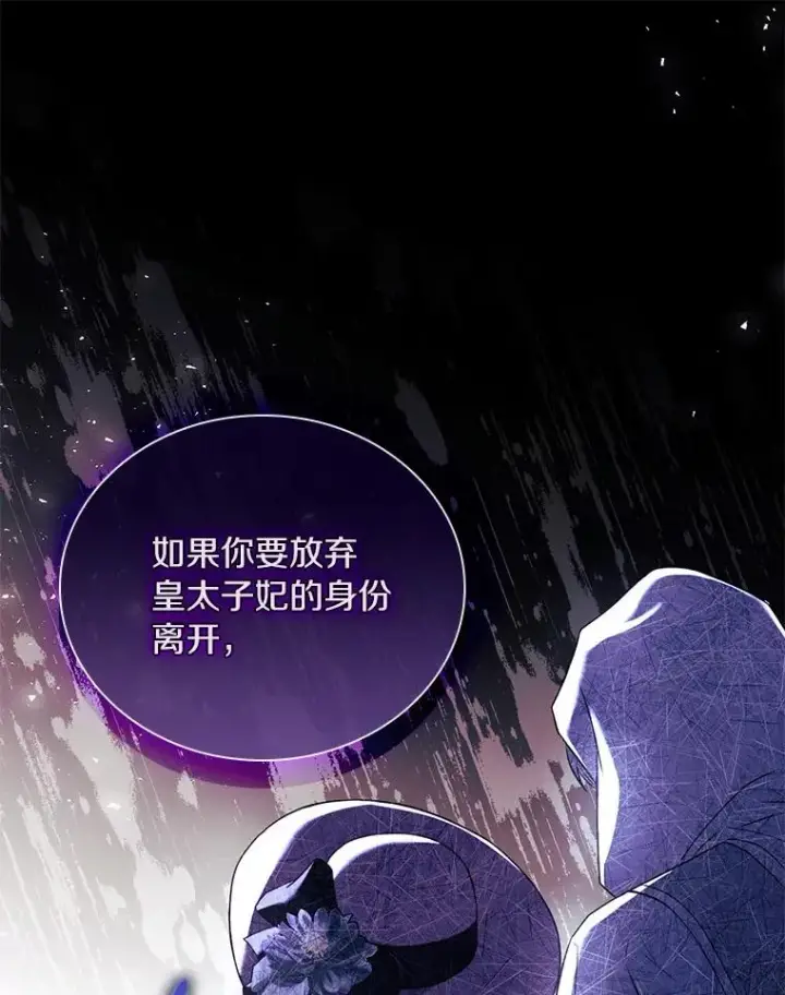 《解除婚约的代价》48.离开皇城图12