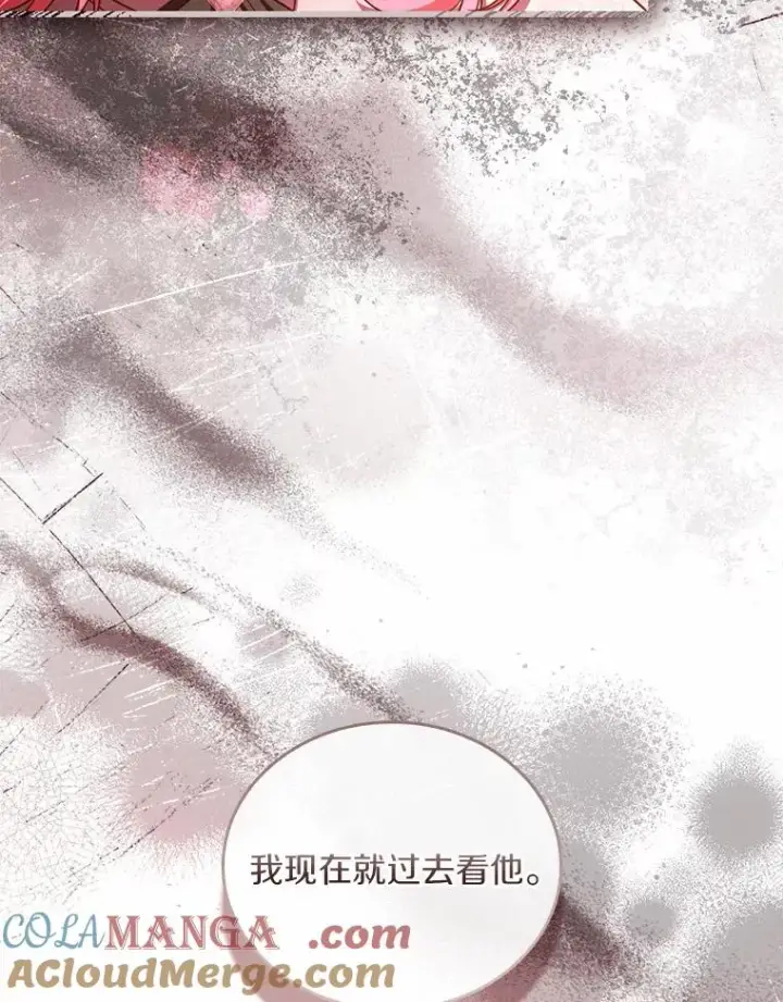 《解除婚约的代价》54.利亚斯遇袭图5