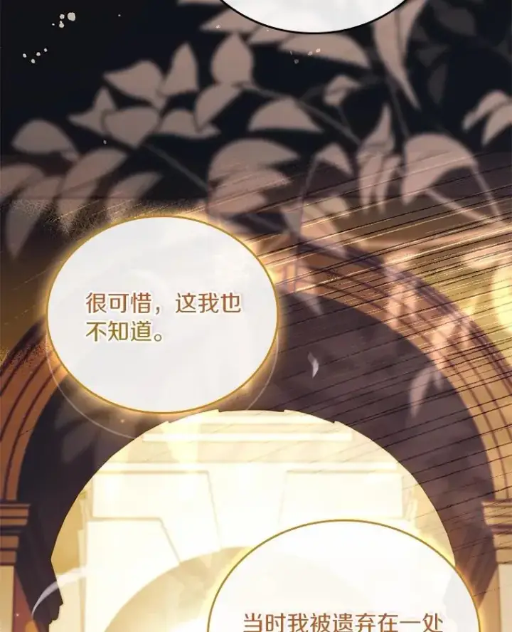 漫画《解除婚约的代价》55.教皇相助第58张图