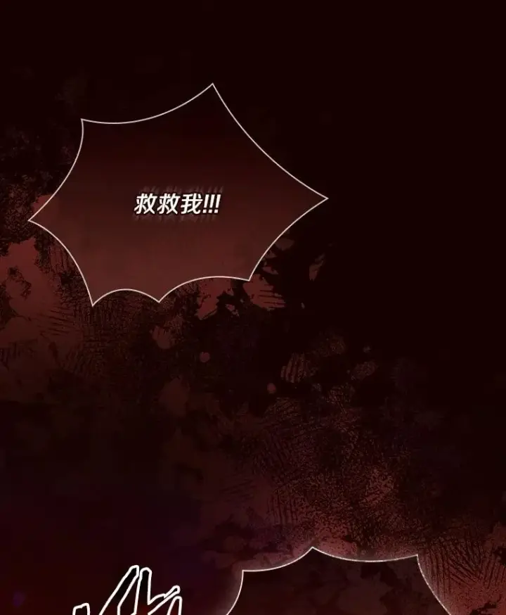 漫画《解除婚约的代价》58.归途遇袭第15张图