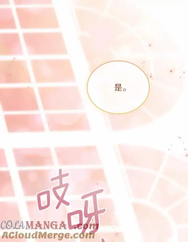 《解除婚约的代价》61.联手神殿的原因图29