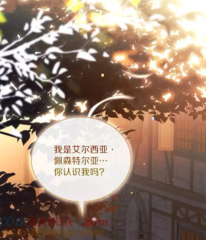 漫画《解除婚约的代价》64.遭遇暗杀第117张图