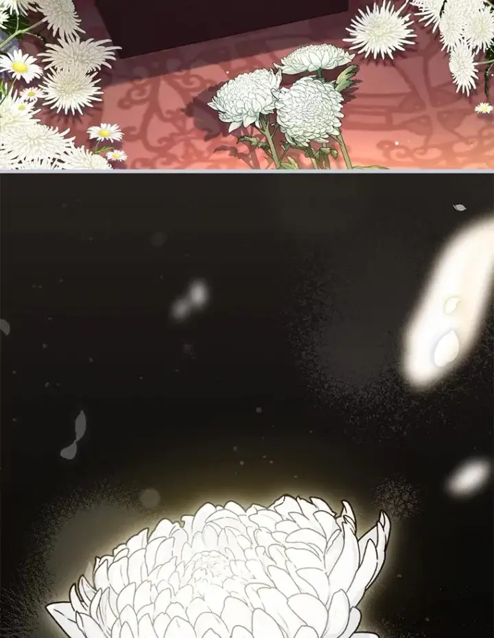 《解除婚约的代价》69.挑拨离间图11