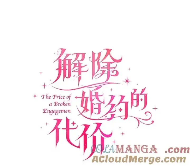 《解除婚约的代价》77.马车失火图13