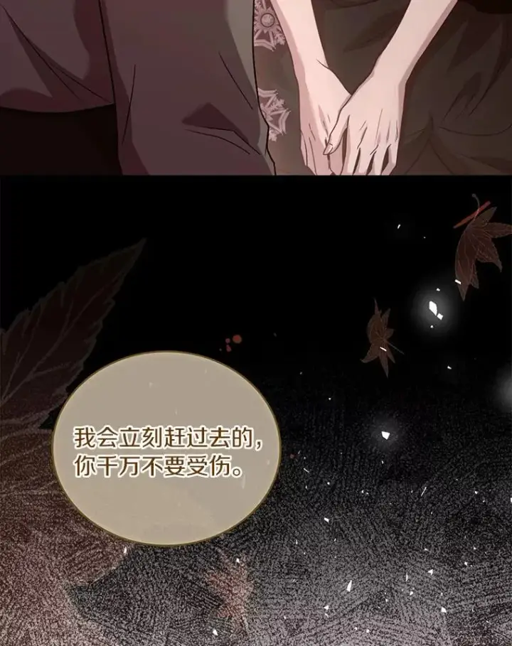 漫画《解除婚约的代价》78.设局诈敌第64张图