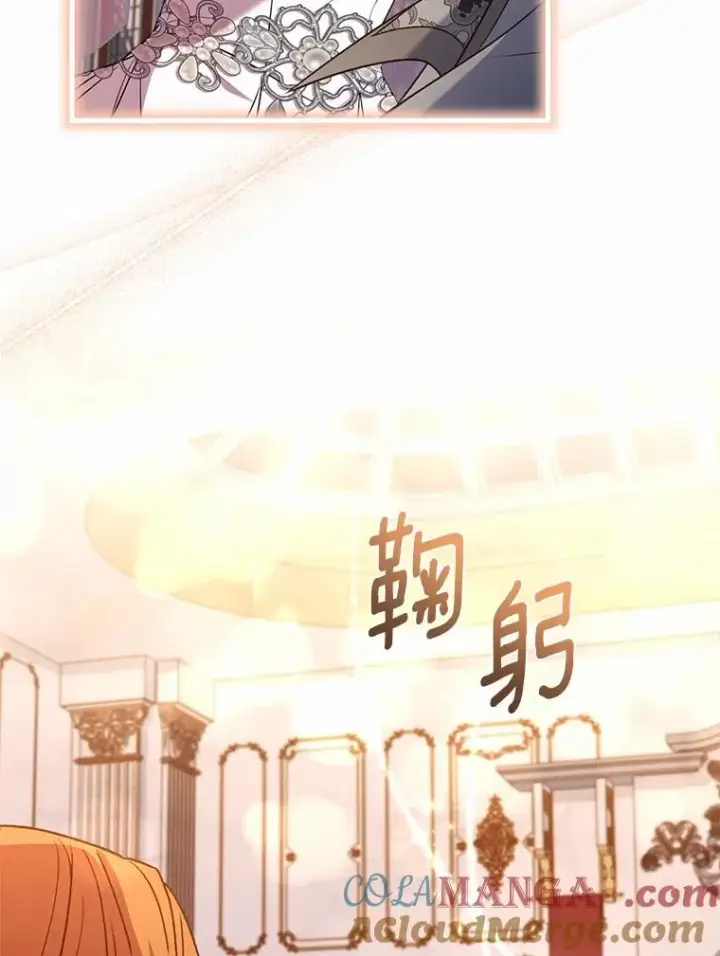 漫画《解除婚约的代价》84.教皇露面第61张图