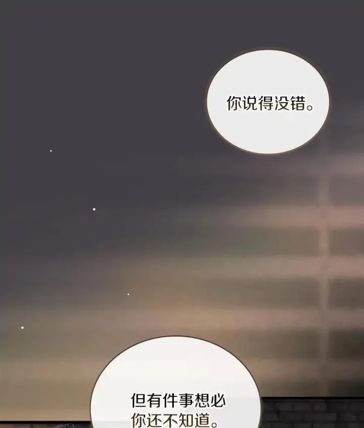 《解除婚约的代价》86.重要证人图88