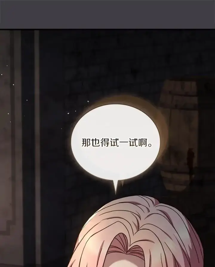 《解除婚约的代价》86.重要证人图95