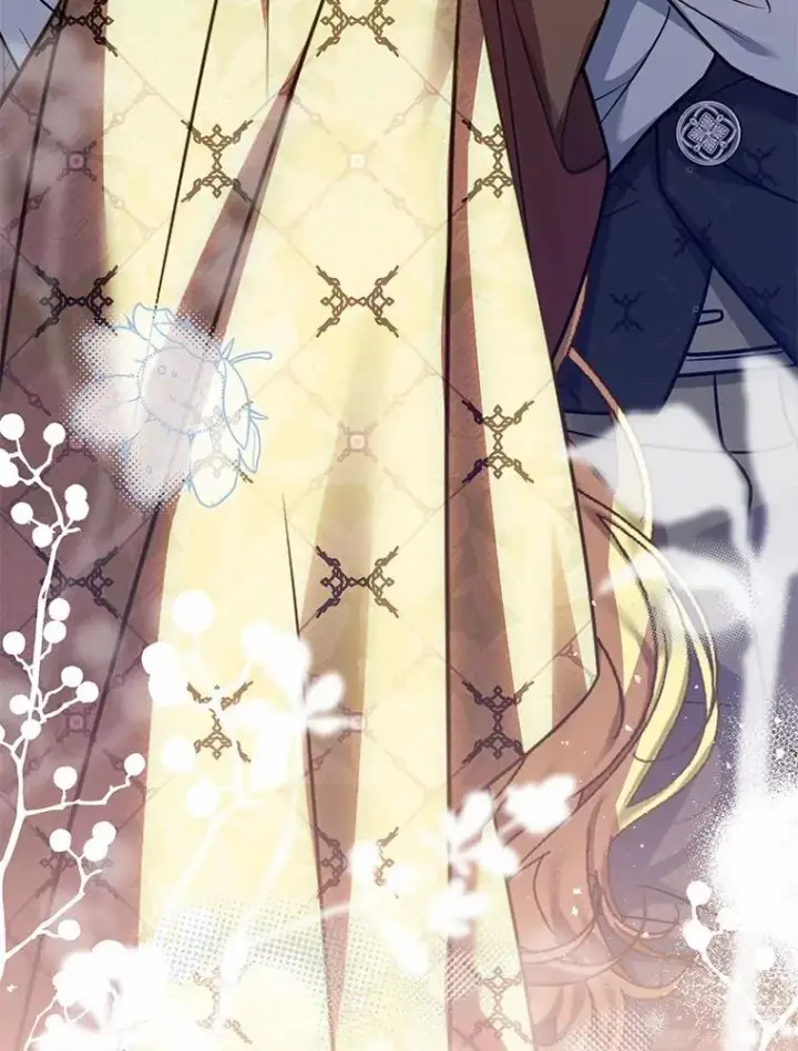 漫画《解除婚约的代价》90.皇帝的结局第143张图