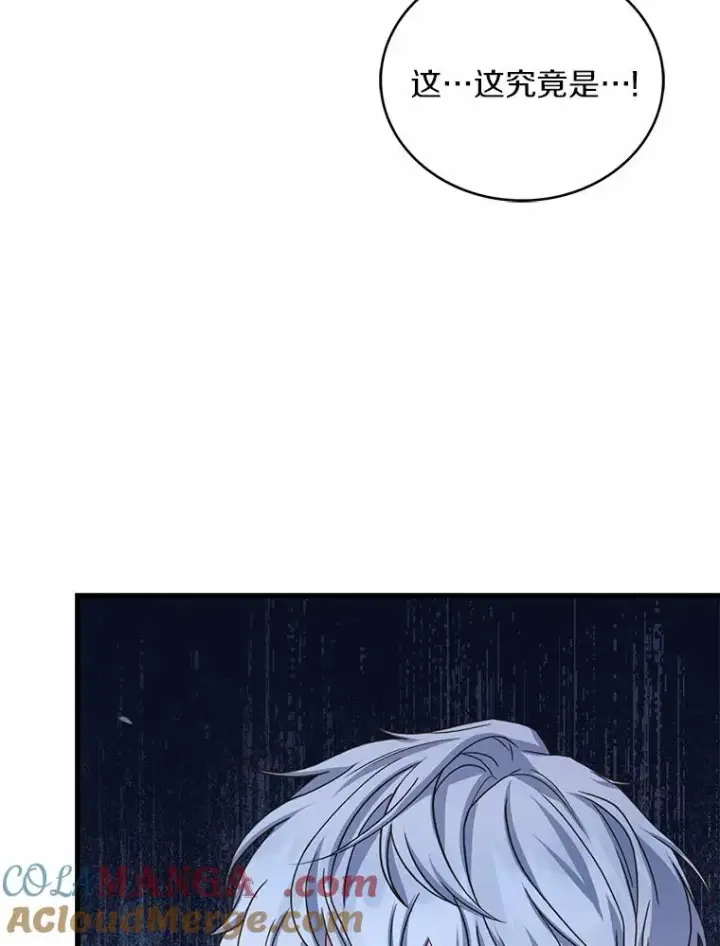 漫画《解除婚约的代价》90.皇帝的结局第45张图