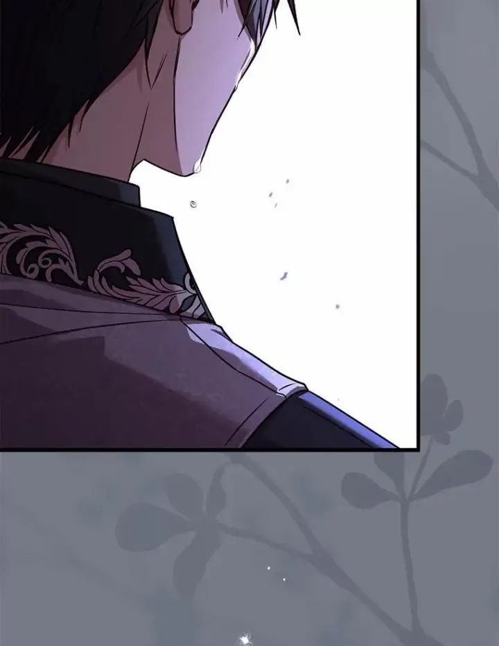 漫画《解除婚约的代价》90.皇帝的结局第58张图