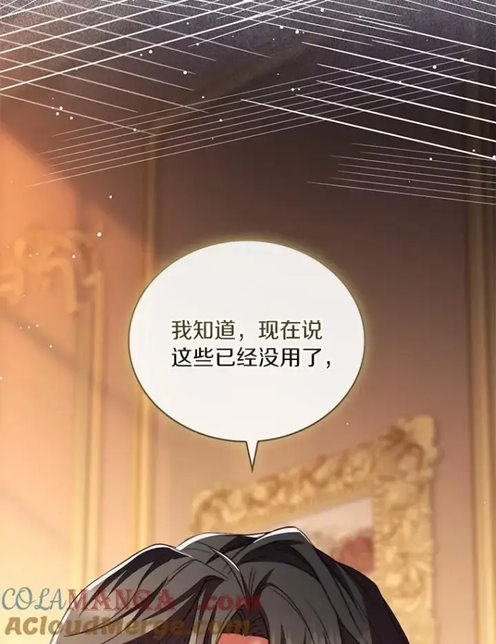 漫画《解除婚约的代价》90.皇帝的结局第93张图