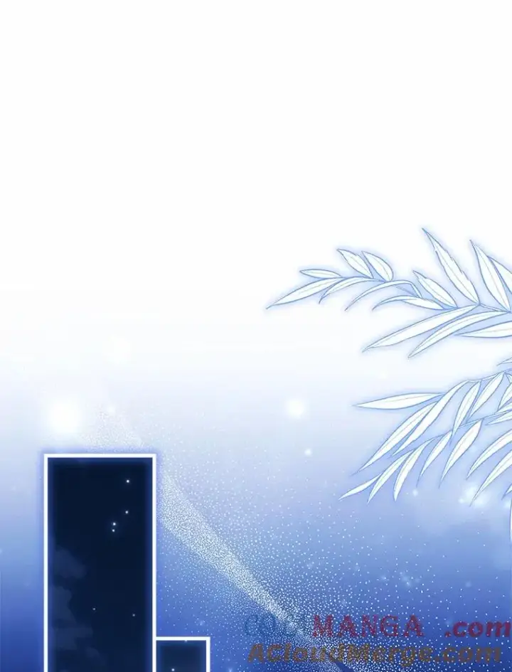 《解除婚约的代价》92.教皇的决定图105