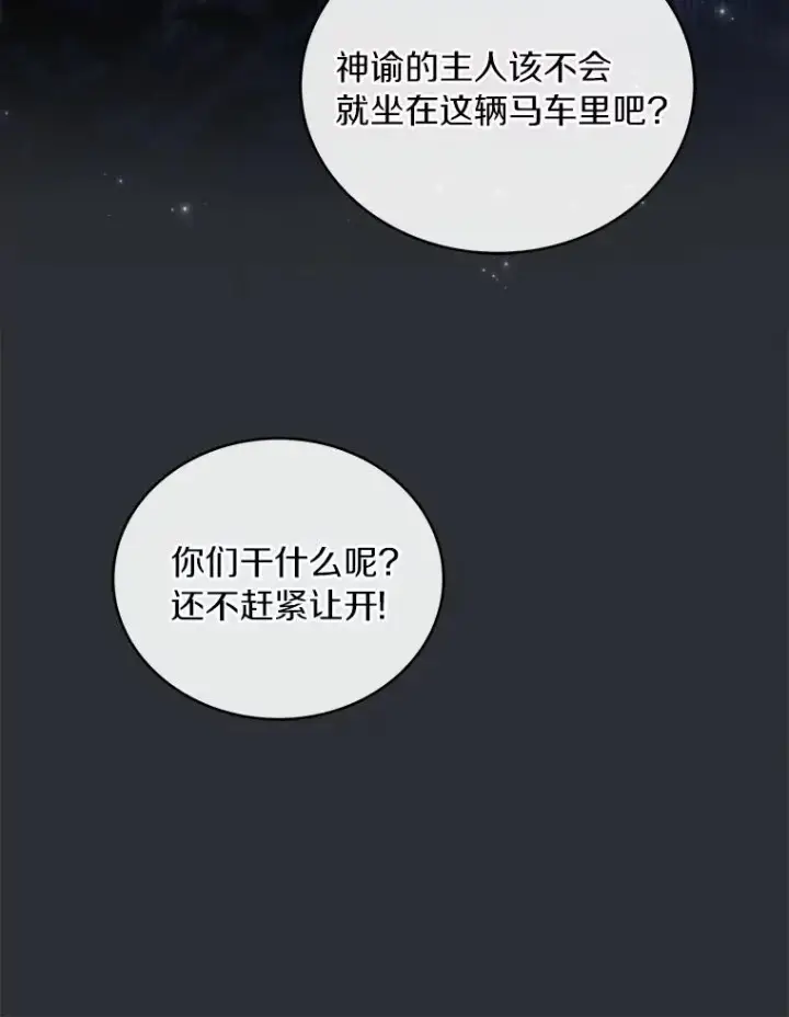 《解除婚约的代价》92.教皇的决定图86