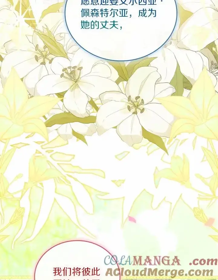 漫画《解除婚约的代价》93.美满的结局第121张图