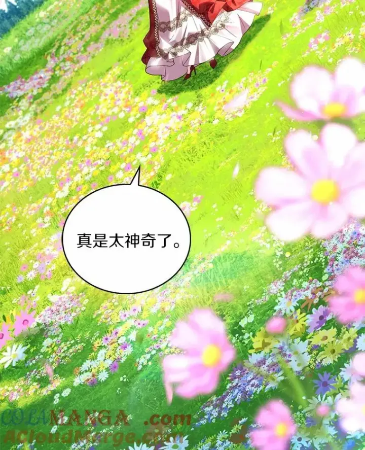 漫画《解除婚约的代价》93.美满的结局第29张图