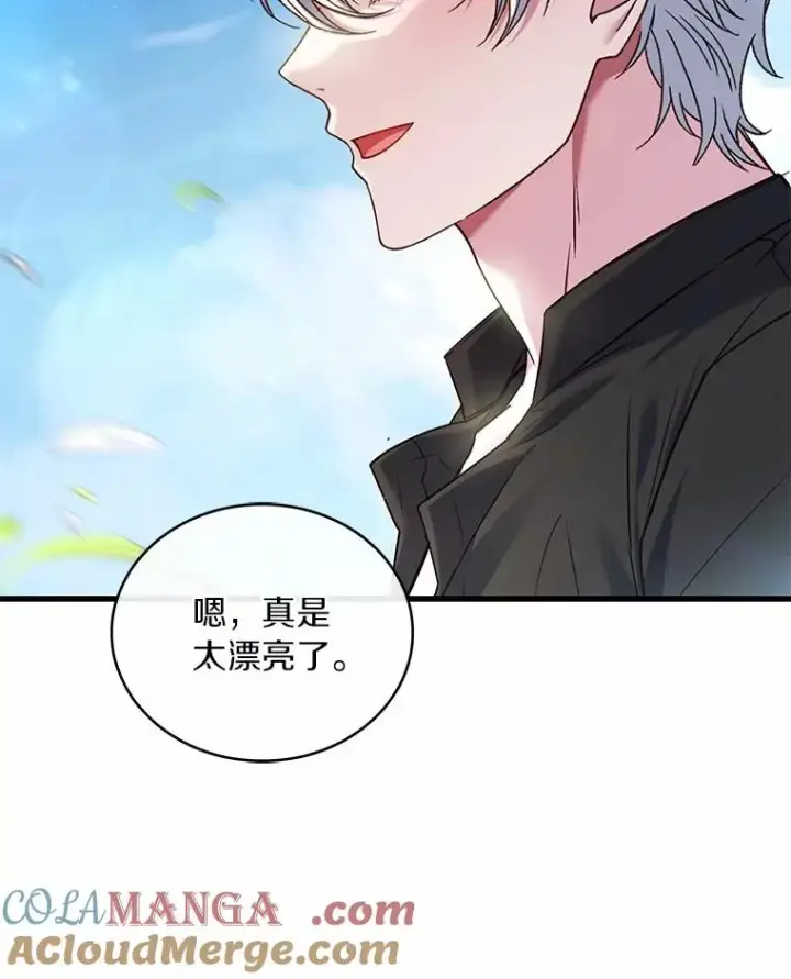 漫画《解除婚约的代价》93.美满的结局第33张图