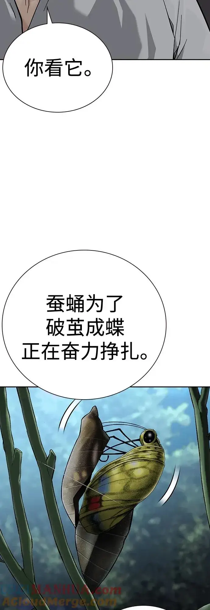 《街头生存手册》[第2季] 第44话图43