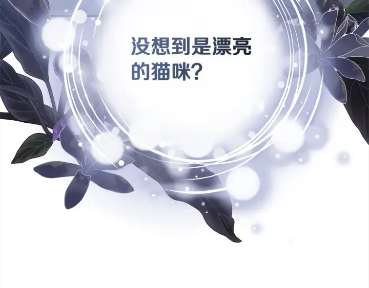 漫画《继母活命很简单》第3话 遇见猫咪公爵？第241张图