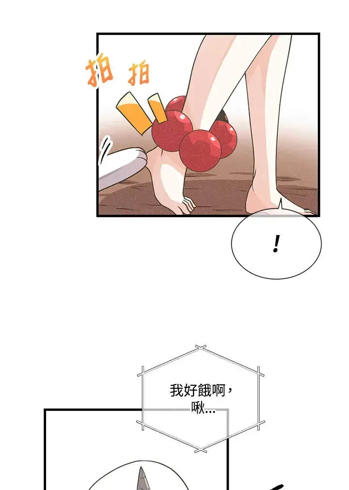 《精灵农夫》第28话图29