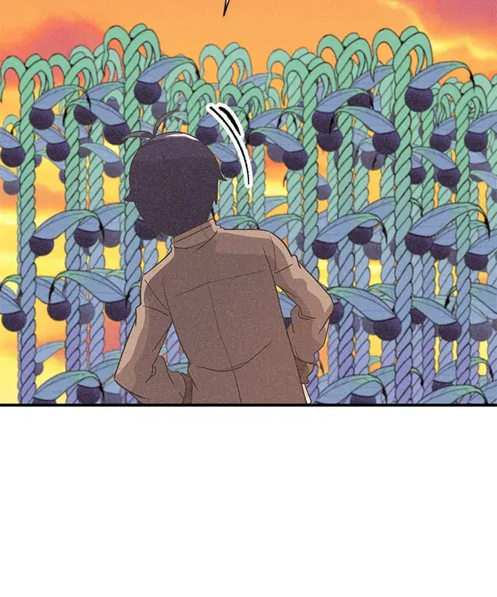 《精灵农夫》第42话图39