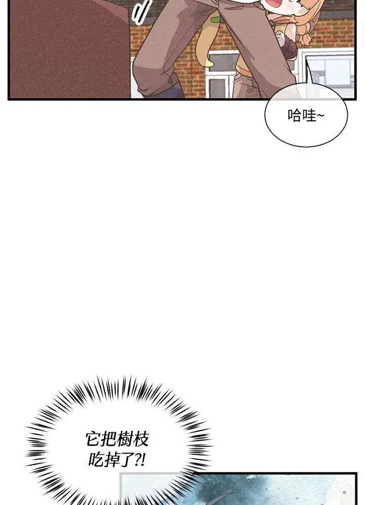 漫画《精灵农夫》第54话第62张图
