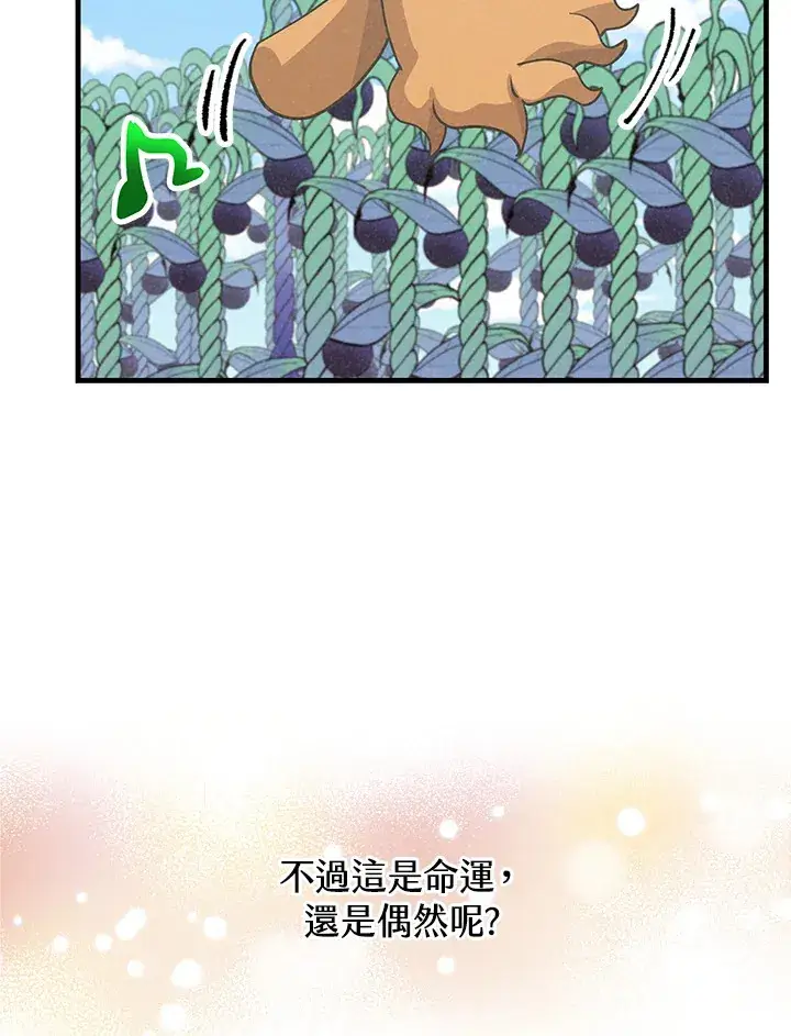 漫画《精灵农夫》第72话第87张图