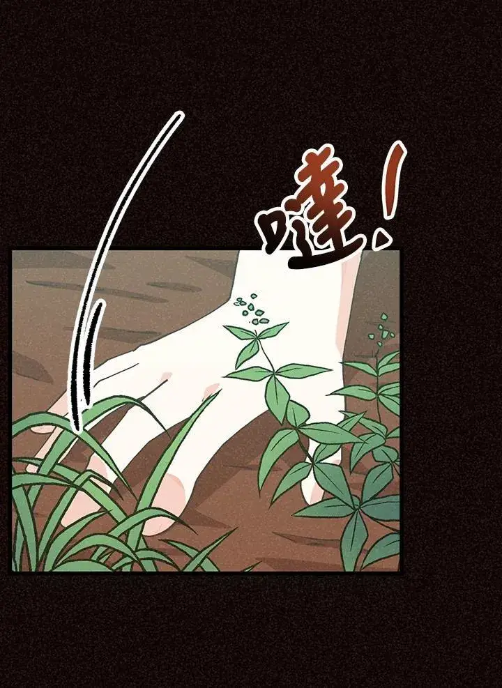 漫画《精灵农夫》第102话第64张图