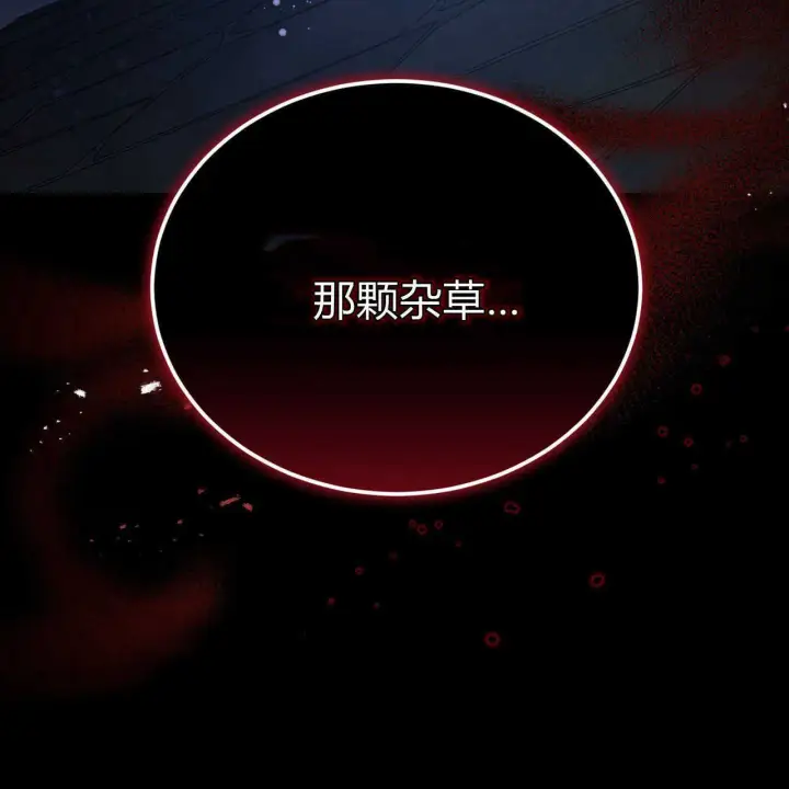 漫画《精灵小姐，请和我签订契约吧》第01话第213张图