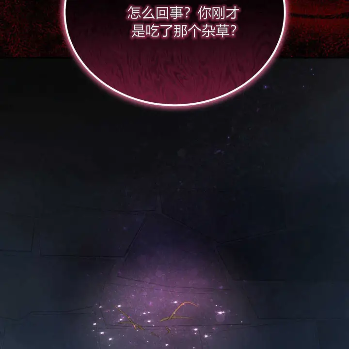 《精灵小姐，请和我签订契约吧》第02话图23