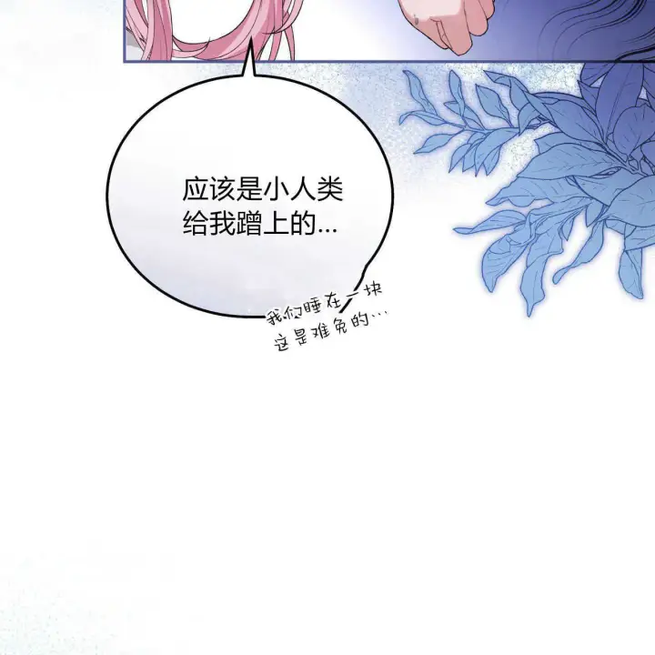 《精灵小姐，请和我签订契约吧》第04话图8